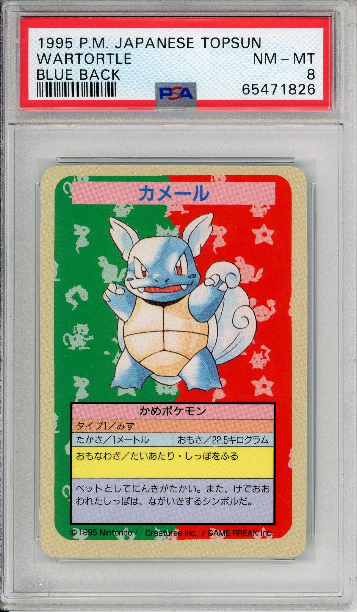 Pokemon Graded: JP Wartortle Topsun (1995) Blue Back PSA 8