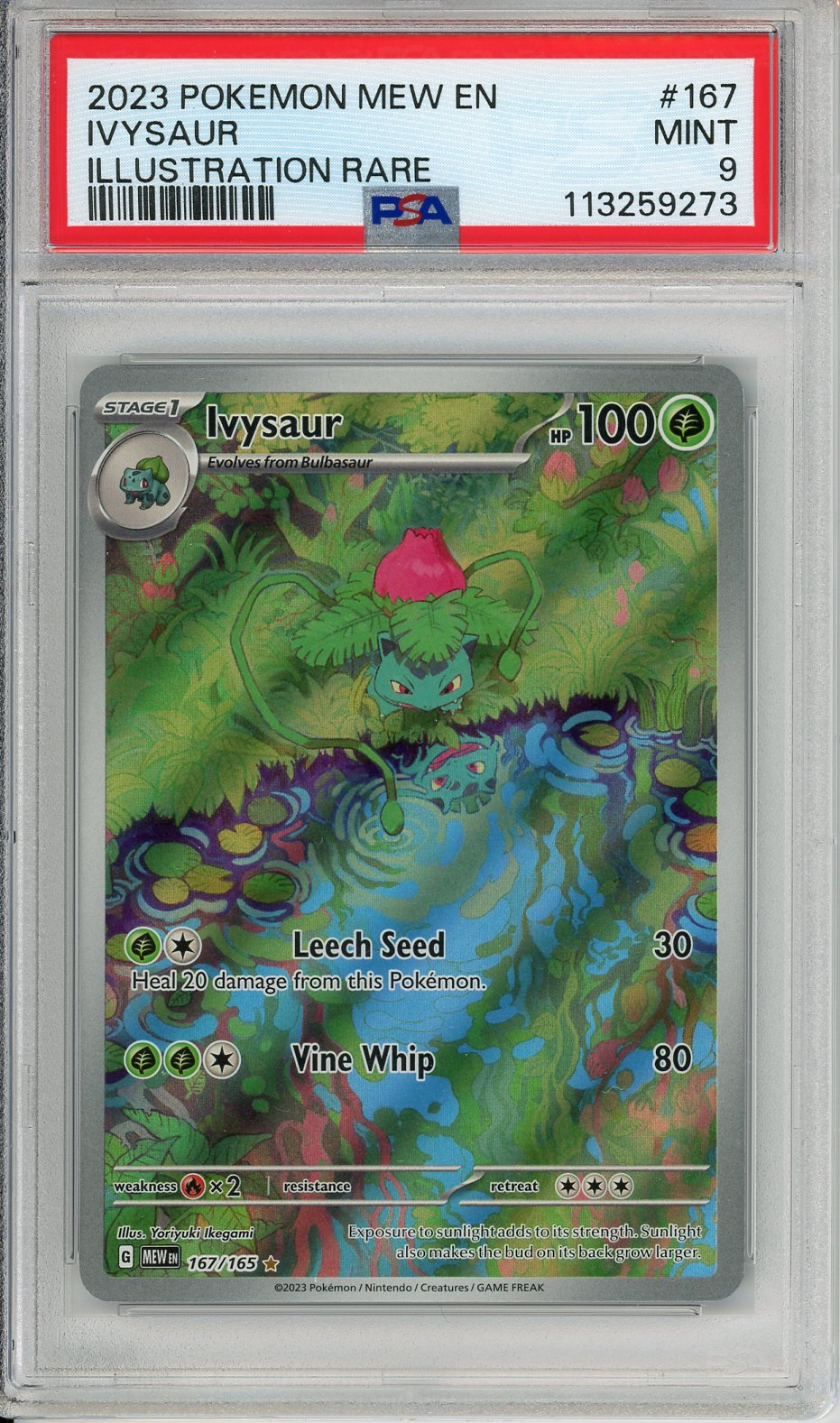 Pokemon Graded: Ivysaur PSA 9