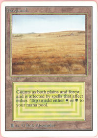 MTG Single: Savannah Revised Edition (1994) MP
