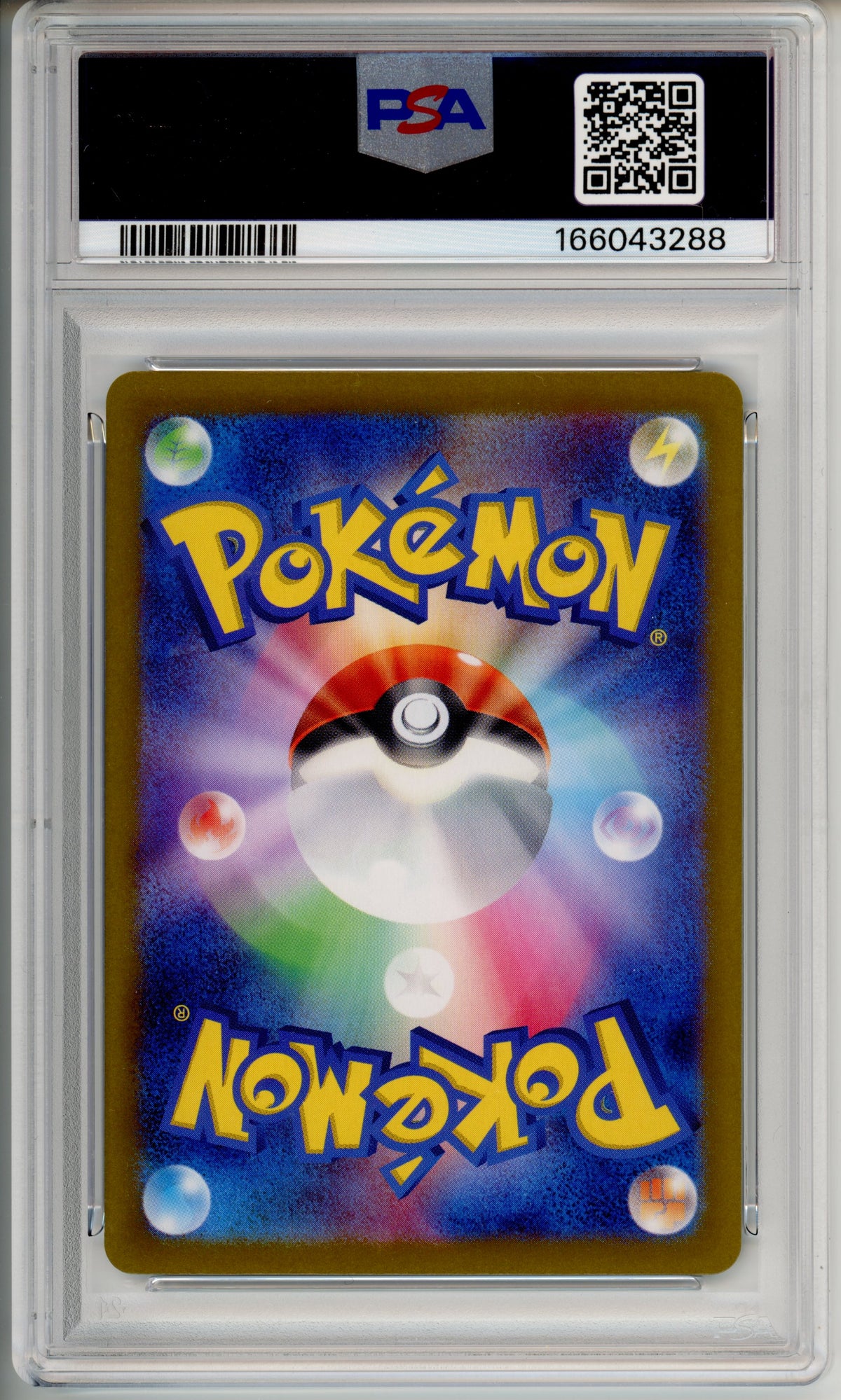 Pokemon Graded: JP Blastoise EX #202 PSA 10