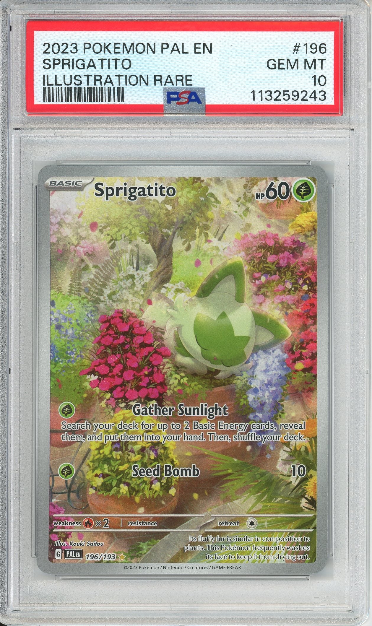 Pokemon Graded: Sprigatito PSA 10 – Double Infinity Gaming