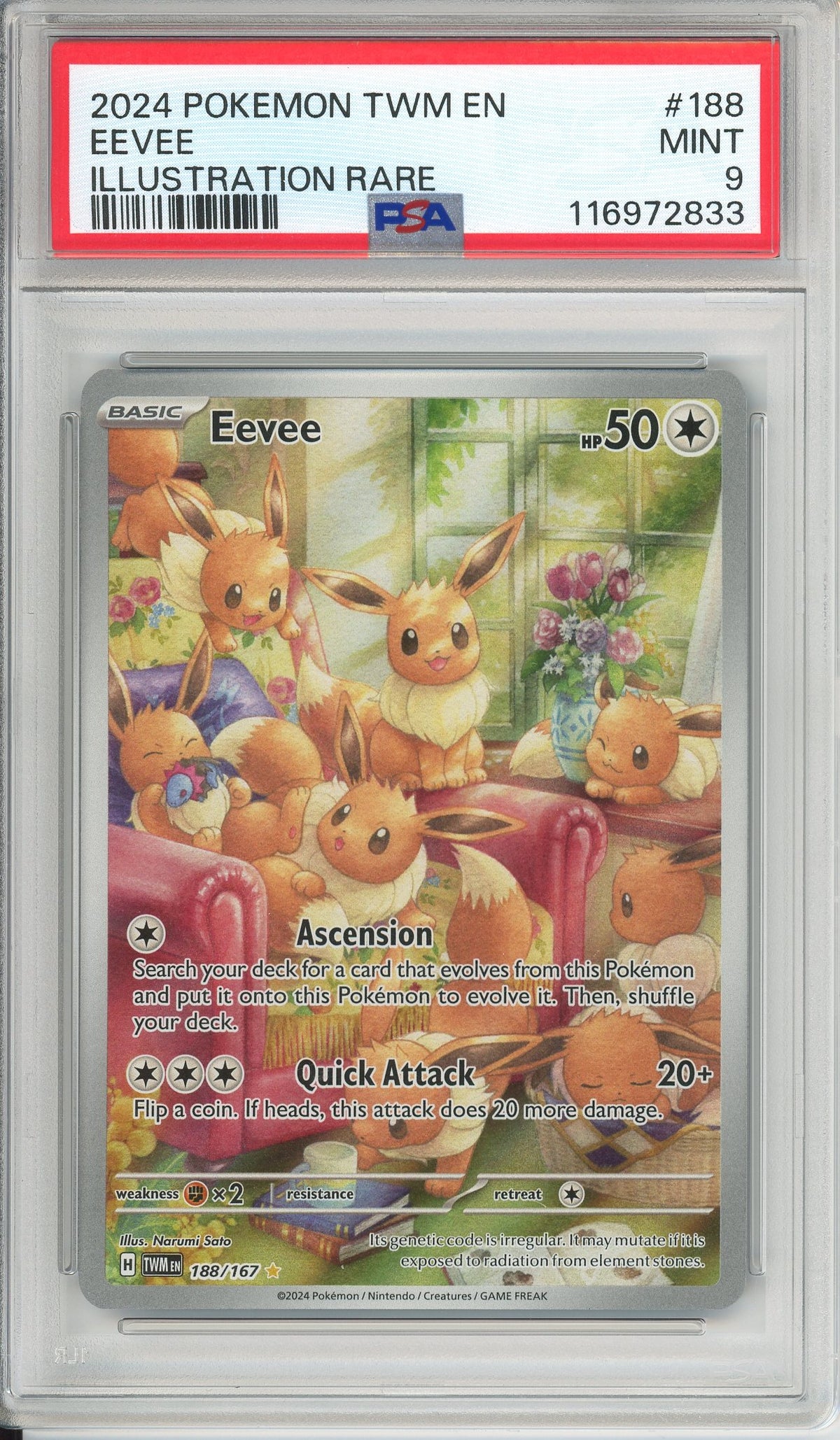 Pokemon Graded: Eevee IR 188/167 Twilight Masquerade (2024) IR Holo PSA 9