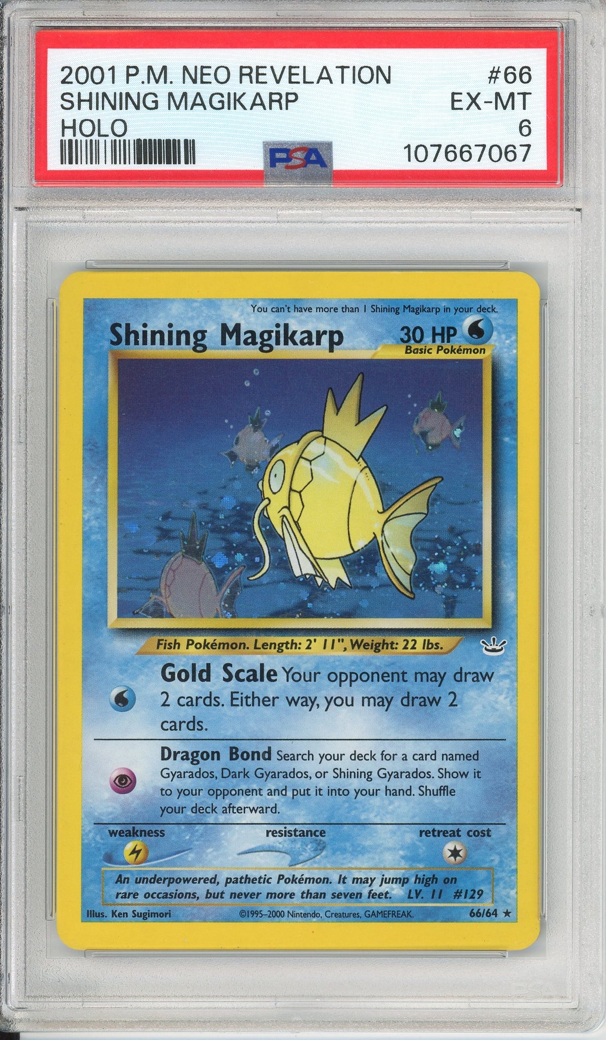 Pokemon Graded: Shining Magikarp 66/64 Neo Revelation (2001) Holo PSA 6