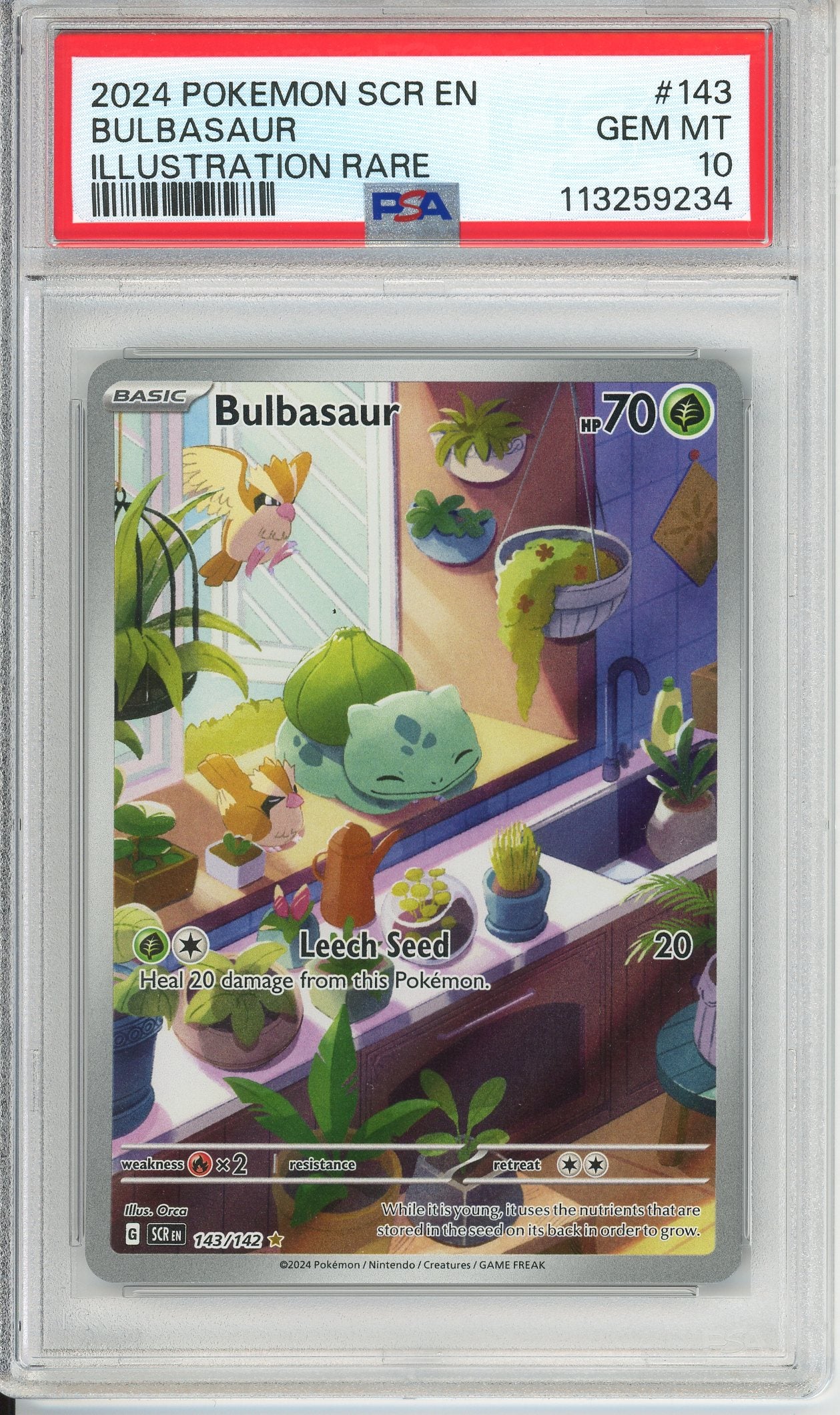 rare bulbasaur pokemon card Pokemon Graded: Bulbasaur 143/142 Stellar Crown (2024) IR Holo PSA 10 – Double Infinity Gaming
