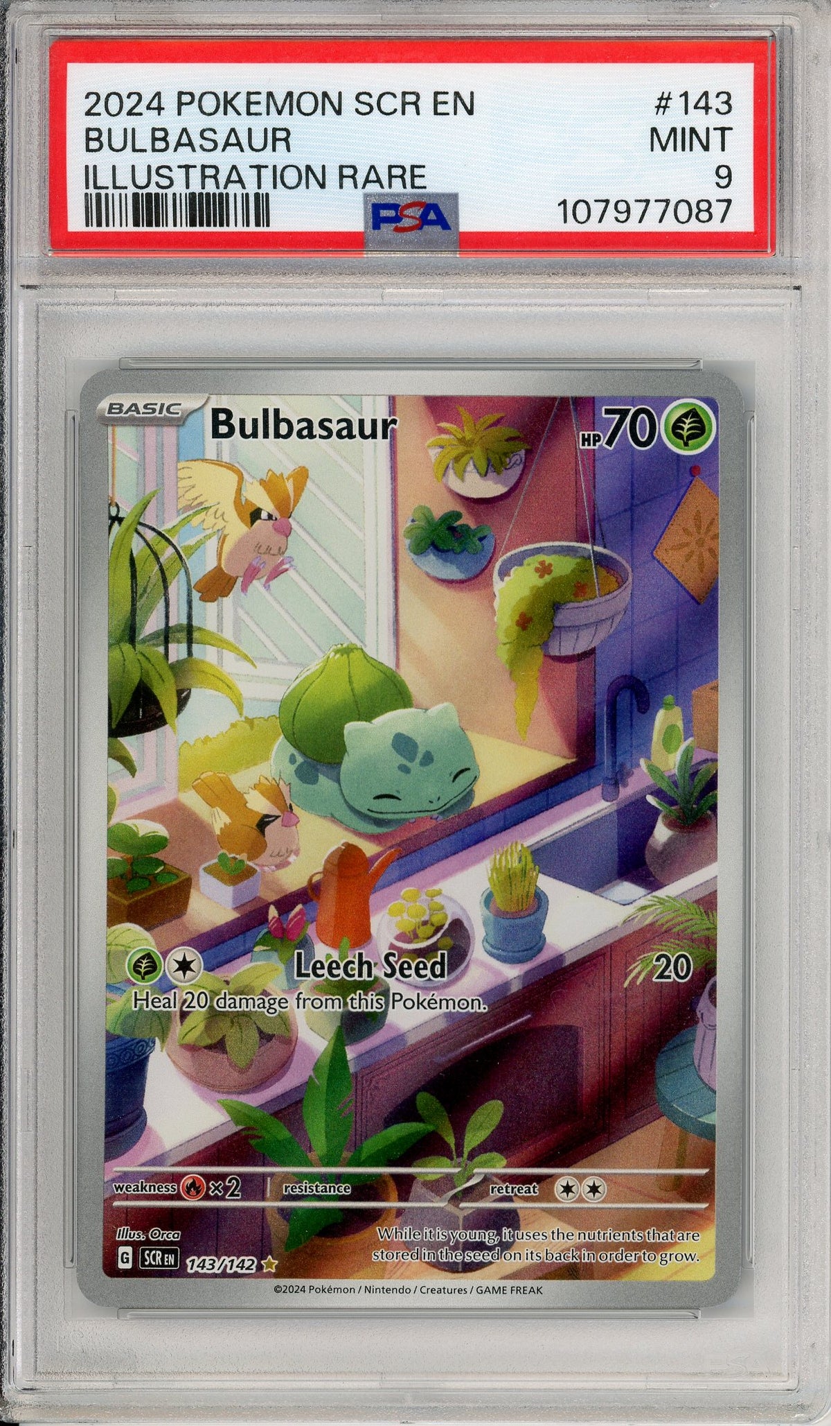 Pokemon Graded: Bulbasaur 143/142 Stellar Crown (2024) IR PSA 10