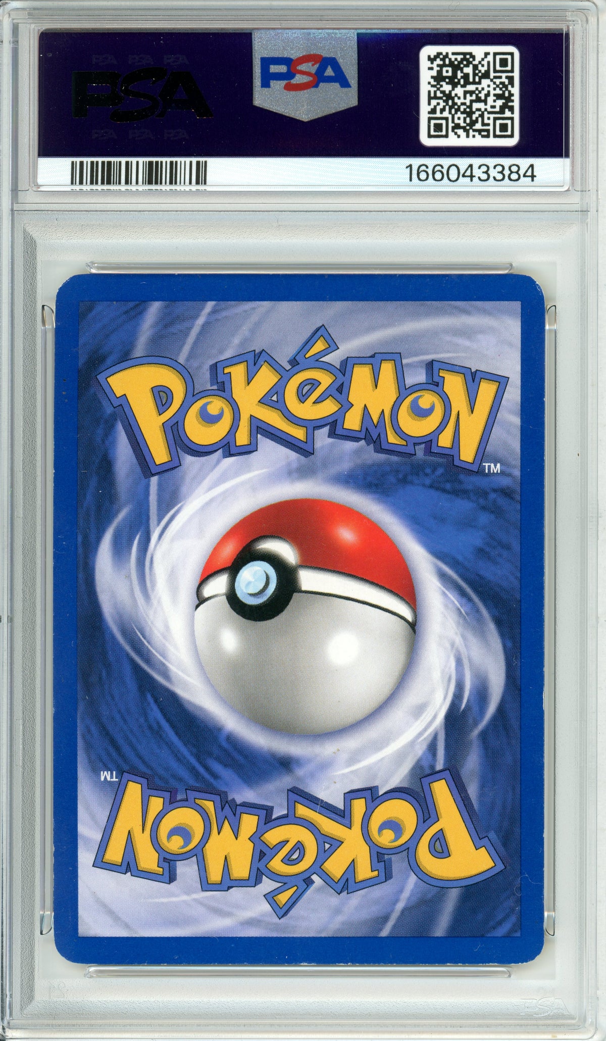 Pokemon Graded: Venusaur #13 WoTC Promo (2000) Holo PSA 6