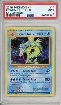 Pokemon Graded: Gyarados 34/108 XY Evolutions (2016) Holo PSA 9