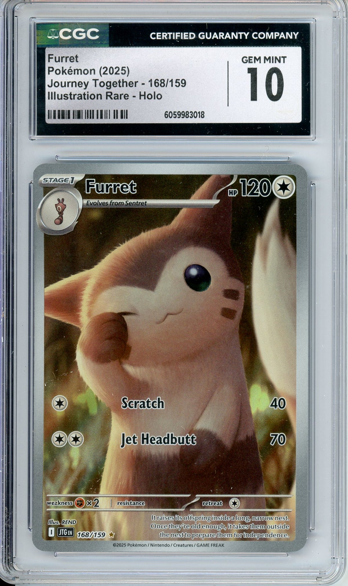 Pokemon Graded: Furret 168/159 Journey Together (2025) IR Holo CGC 10