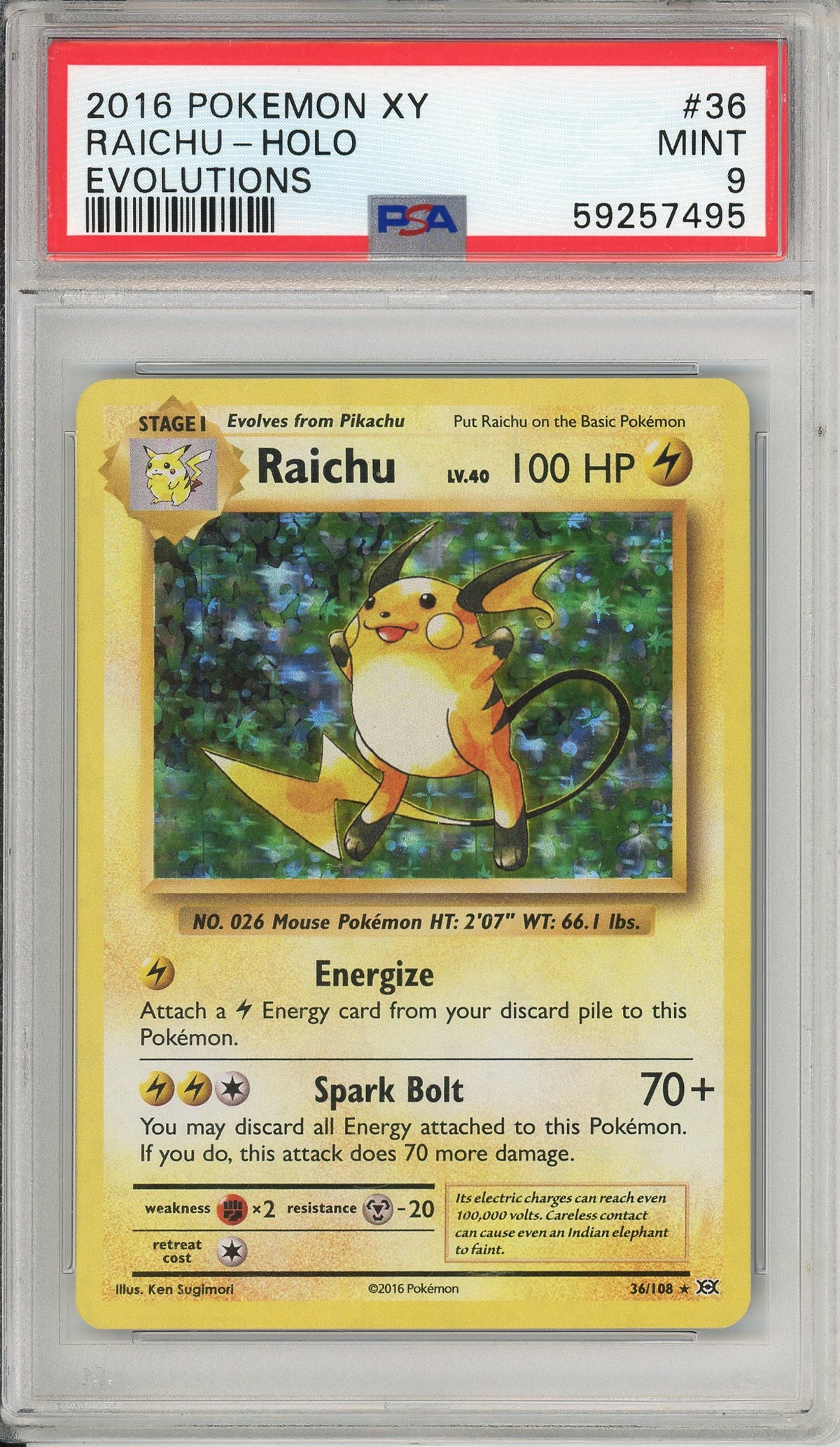 Pokemon Graded: Raichu 36/108 XY Evolutions (2016) Holo PSA 9