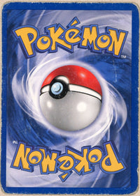 Pokemon Single: Typhlosion 17/111 Neo Genesis (2000) Holo DMG