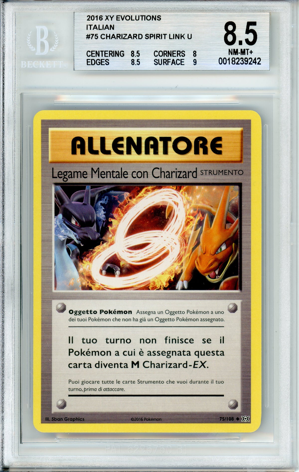 Pokemon Graded: Italian Charizard Spirit Link #75 XY Evolutions (2016) Beckett 8.5