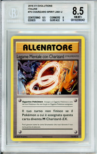 Pokemon Graded: Italian Charizard Spirit Link #75 XY Evolutions (2016) Beckett 8.5