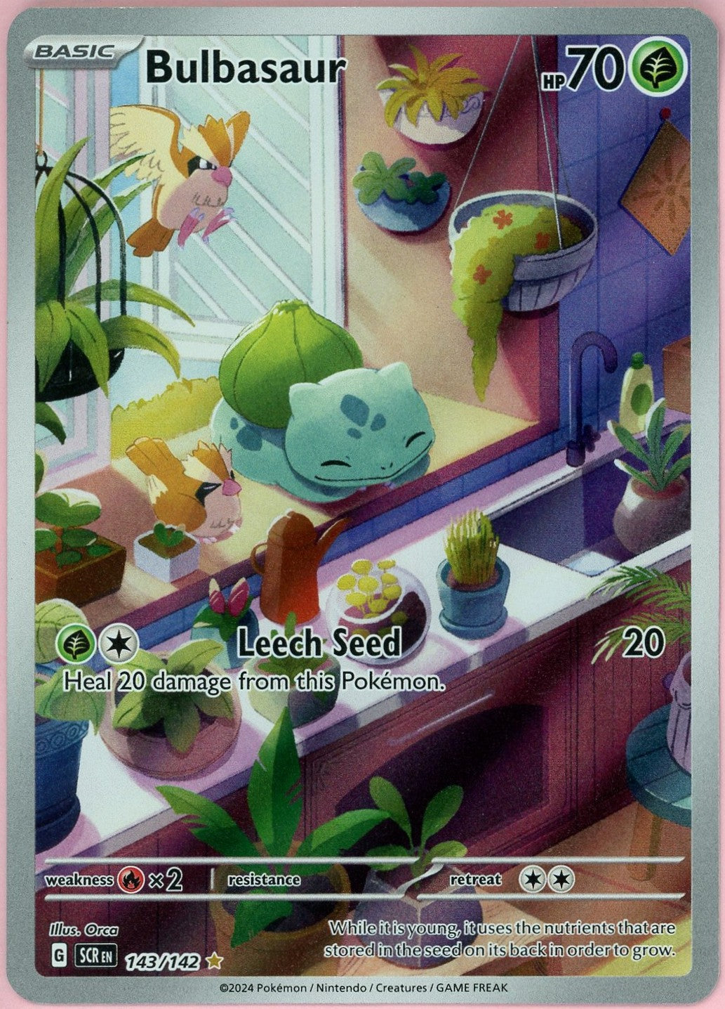 Pokemon Single: Bulbasaur 143/142 Stellar Crown (2024) IR NM