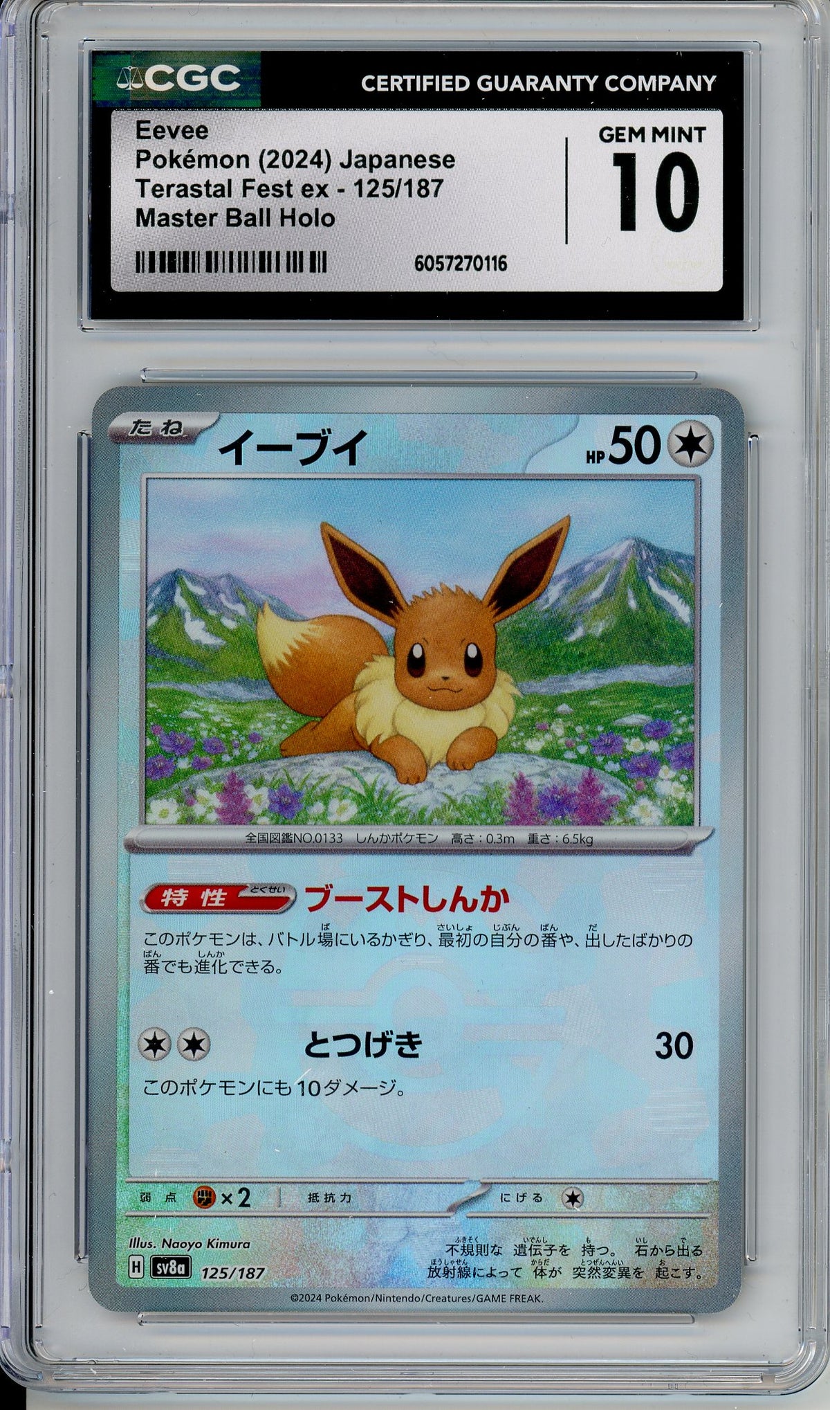 Pokemon Graded: Eevee JPN 125/187 Terestal Festival (2024) Master Ball Reverse Holo CGC 10
