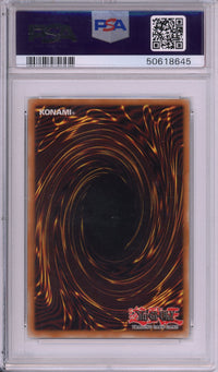 Yu-Gi-Oh! Graded: Dark Magician Girl #EN004 Collector Tins Promo (2005) Holo PSA 9