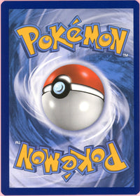 Pokemon Single: Charizard VSTAR #SWSH262 Sword & Shield Promo (2022) NM