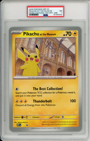 Pikachu at the Museum - Jumbo Cards
